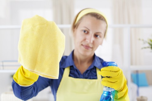 Move in cleaning service for a Bow flat before furniture arrives