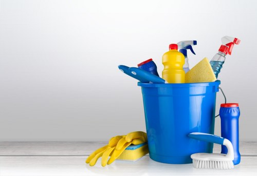 Deep carpet cleaning process for homes and businesses in Bow