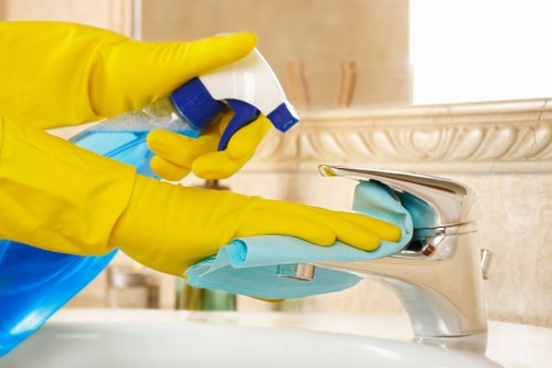 Carpet cleaner checking ventilation and safe cleaning conditions in a room