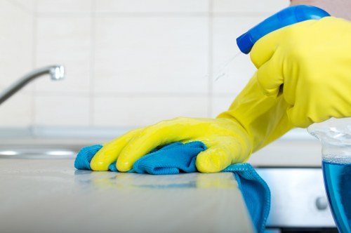 Deep cleaning supplies ready for a Bow property refresh