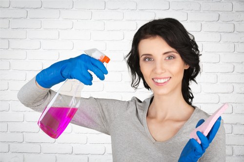 Review of carpet cleaning issue details and service records