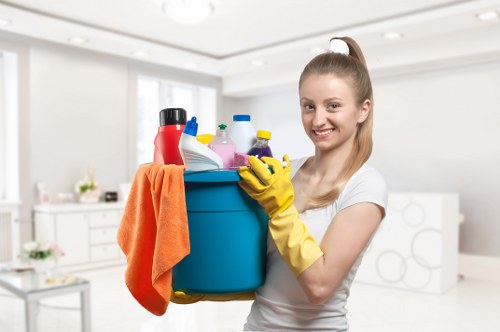 Cleaning a bathroom at the end of a tenancy in Bow