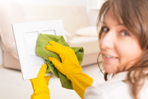 Deep oven cleaning service for a Bow residential kitchen
